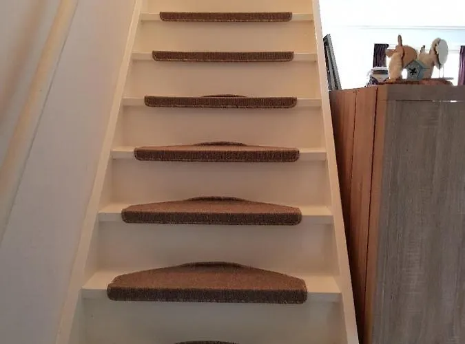 Bed and breakfast De Bosrand 3*